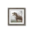 Picture of Trex in the Woods _GroupedProduct_Square_Framed_Matted_