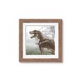 Picture of Trex in the Woods _GroupedProduct_Square_Framed_Matted_