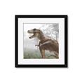 Picture of Trex in the Woods _GroupedProduct_Square_Framed_Matted_