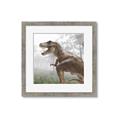Picture of Trex in the Woods _GroupedProduct_Square_Framed_Matted_