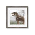 Picture of Trex in the Woods _GroupedProduct_Square_Framed_Matted_