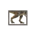 Picture of Stomp Around _GroupedProduct_Rectangle_Landscape_Framed_Matted_