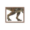 Picture of Stomp Around _GroupedProduct_Rectangle_Landscape_Framed_Matted_