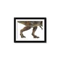 Picture of Stomp Around _GroupedProduct_Rectangle_Landscape_Framed_Matted_