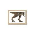 Picture of Stomp Around _GroupedProduct_Rectangle_Landscape_Framed_Matted_