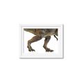 Picture of Stomp Around _GroupedProduct_Rectangle_Landscape_Framed_Matted_