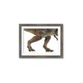 Picture of Stomp Around _GroupedProduct_Rectangle_Landscape_Framed_Matted_