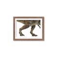 Picture of Stomp Around _GroupedProduct_Rectangle_Landscape_Framed_Matted_