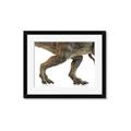 Picture of Stomp Around _GroupedProduct_Rectangle_Landscape_Framed_Matted_