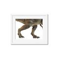 Picture of Stomp Around _GroupedProduct_Rectangle_Landscape_Framed_Matted_
