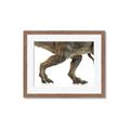 Picture of Stomp Around _GroupedProduct_Rectangle_Landscape_Framed_Matted_