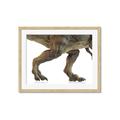 Picture of Stomp Around _GroupedProduct_Rectangle_Landscape_Framed_Matted_