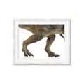 Picture of Stomp Around _GroupedProduct_Rectangle_Landscape_Framed_Matted_