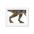 Picture of Stomp Around _GroupedProduct_Rectangle_Landscape_Framed_Matted_