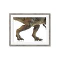 Picture of Stomp Around _GroupedProduct_Rectangle_Landscape_Framed_Matted_