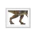 Picture of Stomp Around _GroupedProduct_Rectangle_Landscape_Framed_Matted_