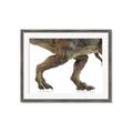 Picture of Stomp Around _GroupedProduct_Rectangle_Landscape_Framed_Matted_