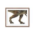 Picture of Stomp Around _GroupedProduct_Rectangle_Landscape_Framed_Matted_