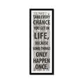 Picture of Take Every Chance I _GroupedProduct_Panel_Portrait_Framed_Matted_