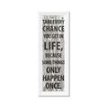 Picture of Take Every Chance I _GroupedProduct_Panel_Portrait_Framed_Matted_