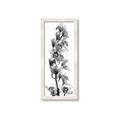 Picture of Orchid Flowers II  _GroupedProduct_Panel_Portrait_Photography _GroupedProduct_Panel_Portrait_Framed_Matted_