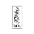 Picture of Orchid Flowers II  _GroupedProduct_Panel_Portrait_Photography _GroupedProduct_Panel_Portrait_Framed_Matted_