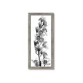 Picture of Orchid Flowers II  _GroupedProduct_Panel_Portrait_Photography _GroupedProduct_Panel_Portrait_Framed_Matted_