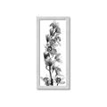 Picture of Orchid Flowers II  _GroupedProduct_Panel_Portrait_Photography _GroupedProduct_Panel_Portrait_Framed_Matted_