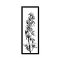 Picture of Orchid Flowers II  _GroupedProduct_Panel_Portrait_Photography _GroupedProduct_Panel_Portrait_Framed_Matted_