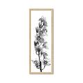 Picture of Orchid Flowers II  _GroupedProduct_Panel_Portrait_Photography _GroupedProduct_Panel_Portrait_Framed_Matted_