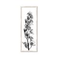 Picture of Orchid Flowers II  _GroupedProduct_Panel_Portrait_Photography _GroupedProduct_Panel_Portrait_Framed_Matted_