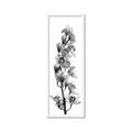 Picture of Orchid Flowers II  _GroupedProduct_Panel_Portrait_Photography _GroupedProduct_Panel_Portrait_Framed_Matted_
