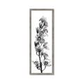 Picture of Orchid Flowers II  _GroupedProduct_Panel_Portrait_Photography _GroupedProduct_Panel_Portrait_Framed_Matted_