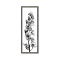 Picture of Orchid Flowers II  _GroupedProduct_Panel_Portrait_Photography _GroupedProduct_Panel_Portrait_Framed_Matted_