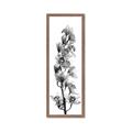Picture of Orchid Flowers II  _GroupedProduct_Panel_Portrait_Photography _GroupedProduct_Panel_Portrait_Framed_Matted_