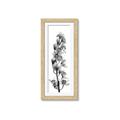 Picture of Orchid Flowers II  _GroupedProduct_Panel_Portrait_Photography _GroupedProduct_Panel_Portrait_Framed_Matted_