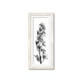 Picture of Orchid Flowers II  _GroupedProduct_Panel_Portrait_Photography _GroupedProduct_Panel_Portrait_Framed_Matted_