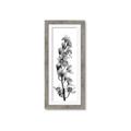 Picture of Orchid Flowers II  _GroupedProduct_Panel_Portrait_Photography _GroupedProduct_Panel_Portrait_Framed_Matted_