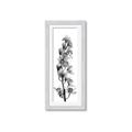 Picture of Orchid Flowers II  _GroupedProduct_Panel_Portrait_Photography _GroupedProduct_Panel_Portrait_Framed_Matted_