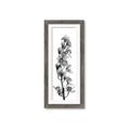 Picture of Orchid Flowers II  _GroupedProduct_Panel_Portrait_Photography _GroupedProduct_Panel_Portrait_Framed_Matted_