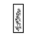 Picture of Orchid Flowers II  _GroupedProduct_Panel_Portrait_Photography _GroupedProduct_Panel_Portrait_Framed_Matted_