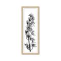 Picture of Orchid Flowers II  _GroupedProduct_Panel_Portrait_Photography _GroupedProduct_Panel_Portrait_Framed_Matted_
