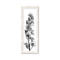 Picture of Orchid Flowers II  _GroupedProduct_Panel_Portrait_Photography _GroupedProduct_Panel_Portrait_Framed_Matted_