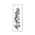 Picture of Orchid Flowers II  _GroupedProduct_Panel_Portrait_Photography _GroupedProduct_Panel_Portrait_Framed_Matted_