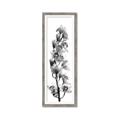 Picture of Orchid Flowers II  _GroupedProduct_Panel_Portrait_Photography _GroupedProduct_Panel_Portrait_Framed_Matted_