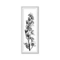 Picture of Orchid Flowers II  _GroupedProduct_Panel_Portrait_Photography _GroupedProduct_Panel_Portrait_Framed_Matted_