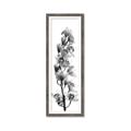 Picture of Orchid Flowers II  _GroupedProduct_Panel_Portrait_Photography _GroupedProduct_Panel_Portrait_Framed_Matted_