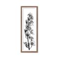 Picture of Orchid Flowers II  _GroupedProduct_Panel_Portrait_Photography _GroupedProduct_Panel_Portrait_Framed_Matted_