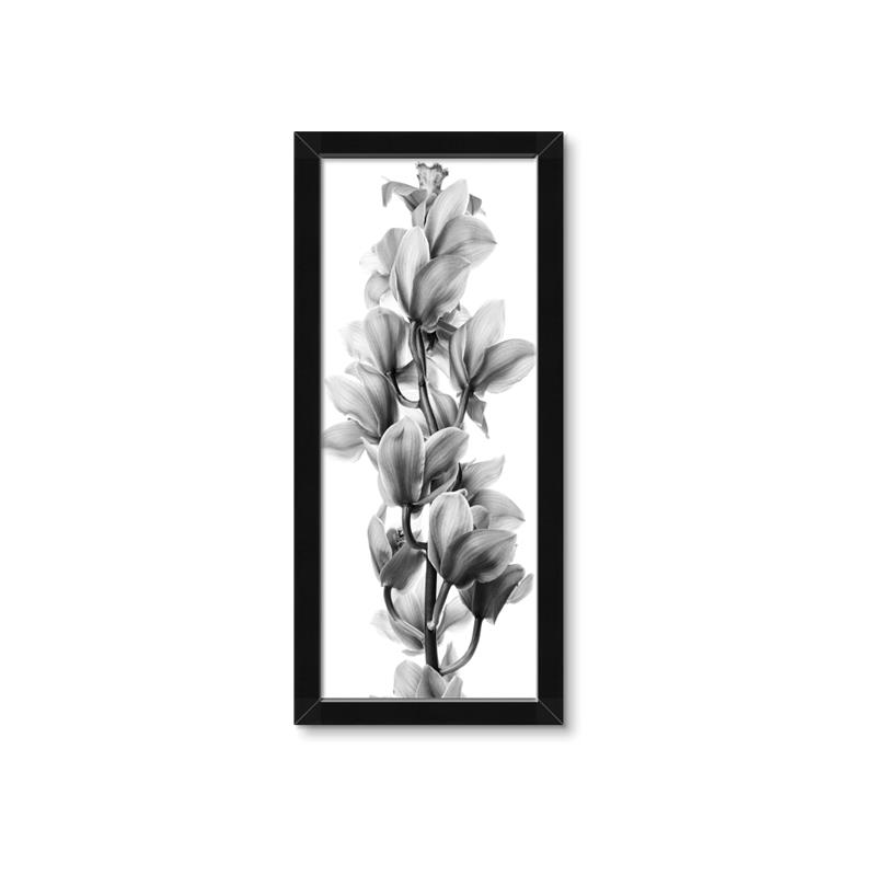 Picture of Orchid Flowers I  _GroupedProduct_Panel_Portrait_Photography _GroupedProduct_Panel_Portrait_Framed_Matted_