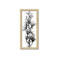 Picture of Orchid Flowers I  _GroupedProduct_Panel_Portrait_Photography _GroupedProduct_Panel_Portrait_Framed_Matted_